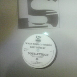 Double Vision-What Kind Of World/Easy Does It (Repress on Liftin Spirit 2019)