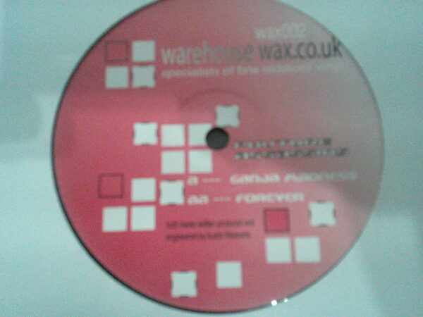 PHUTURE ASSASSINS-GANJA MADNESS/FOREVER-WAX002