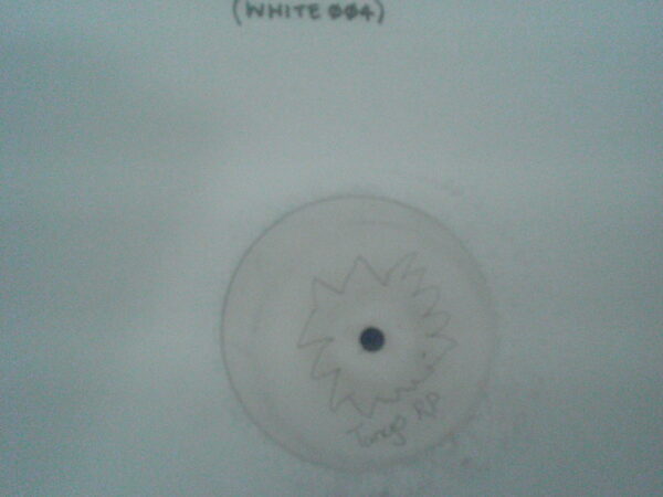 THE TANGO PROJECT-WHITE4