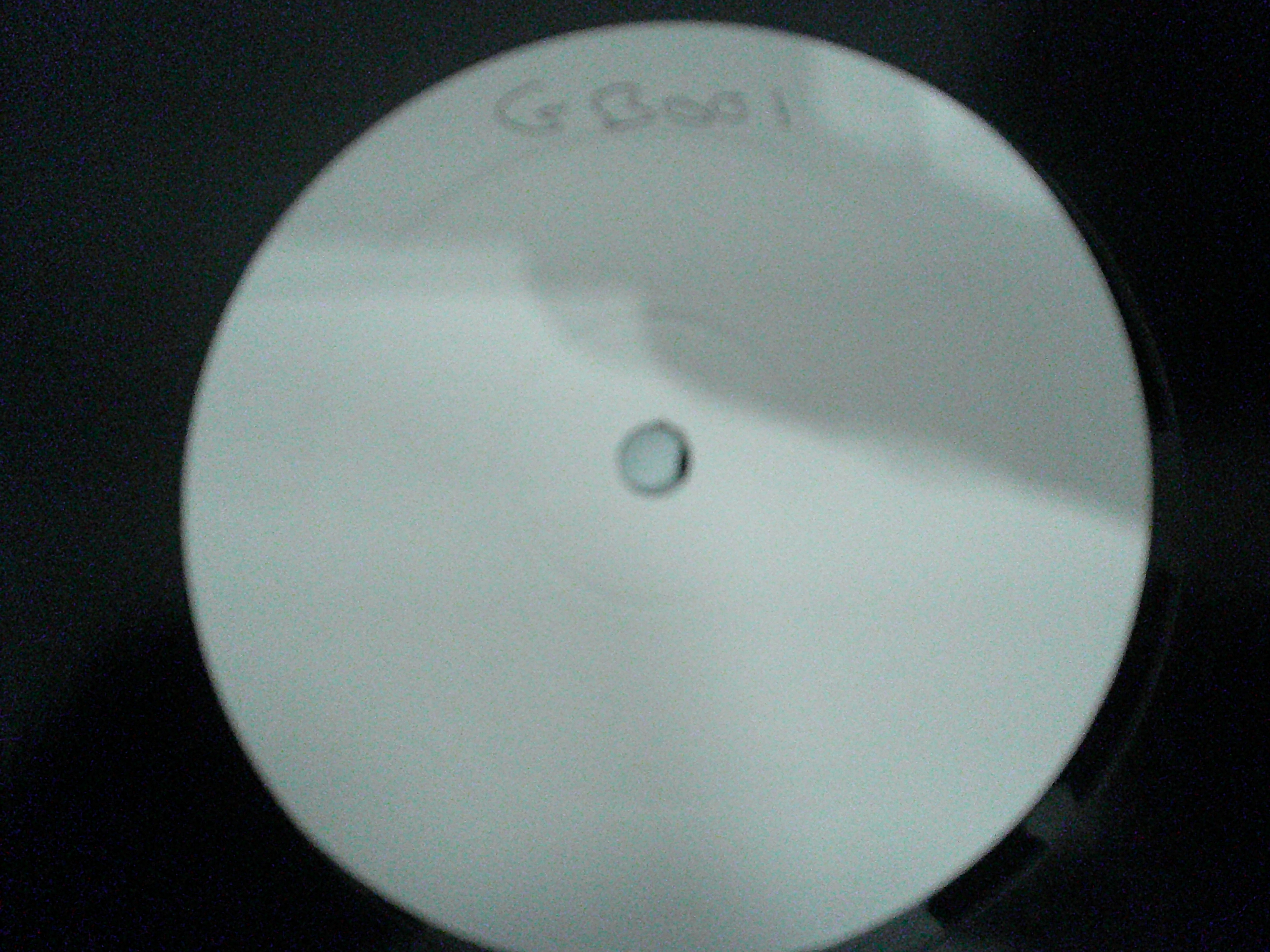 THE TRINITY EP-GB003