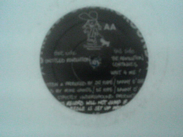 TIGERS IN SPACE-UNTITLED REVOLUTION-STUR10