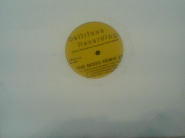 The Moog Remix EP-DELIS4