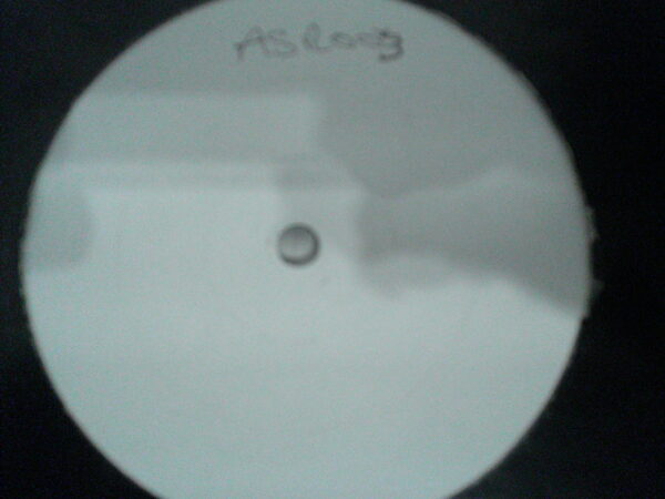 ANARCHIC STREAK-RULES ARE MADE TO BE BROKEN EP-ASR003