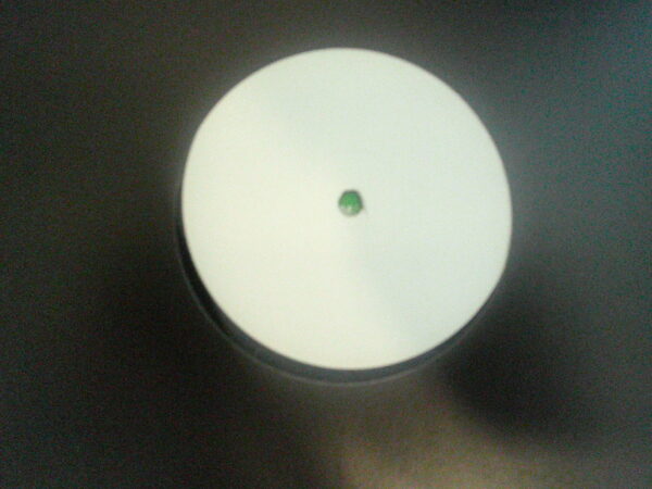 THE MOOG/JUSTICE & MERCY-4 TRACK EP-9T2R006/SLRV018