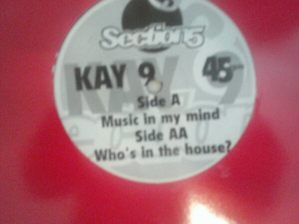 KAY 9-MUSIC IN MY MIND-KAY9