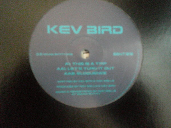 KEV BIRD-THIS IS A TRIP-SENT1218